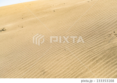《静岡県》中田島砂丘・晴天下の風景 133353108