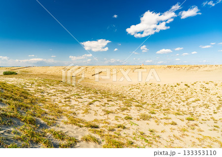 《静岡県》中田島砂丘・晴天下の風景 《静岡県》中田島砂丘・晴天下の風景 133353110