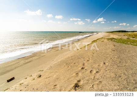 《静岡県》中田島砂丘・晴天下の風景 133353123