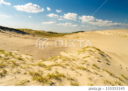 《静岡県》中田島砂丘・晴天下の風景 133353145