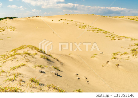 《静岡県》中田島砂丘・晴天下の風景 133353146