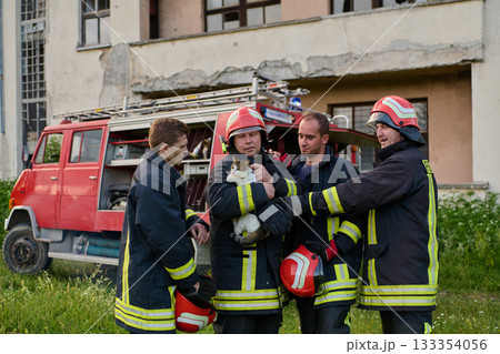 Firefighters rescuing a cat near a fire truck, showcasing teamwork and compassion, with focus on animal rescue and emergency response in an outdoor setting, featuring brave firemen. Firefighters rescuing a cat near a fire truck, showcasing teamwork and compassion, with focus on animal rescue and emergency response in an outdoor setting, featuring brave firemen. 133354056