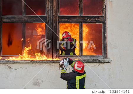 Brave firefighter rescuing a cat from a burning building, visible flames and smoke, dramatic scene, urban environment, emergency response, hero in action, saving lives Brave firefighter rescuing a cat from a burning building, visible flames and smoke, dramatic scene, urban environment, emergency response, hero in action, saving lives 133354141