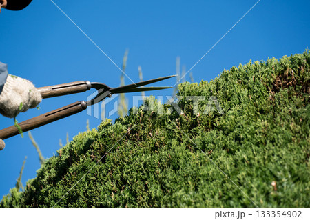 Japanese Gardener Japanese Gardener 133354902