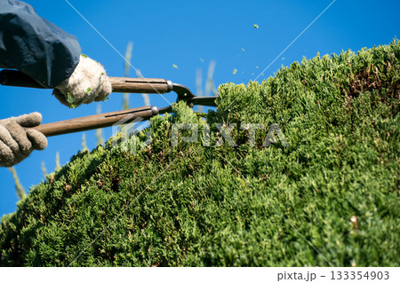 Japanese Gardener Japanese Gardener 133354903
