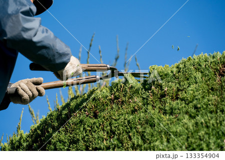 Japanese Gardener 133354904