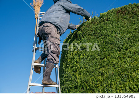 Japanese Gardener 133354905