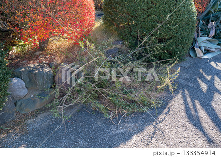 Japanese Gardener Japanese Gardener 133354914