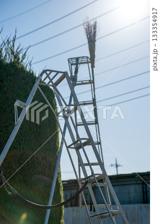 Japanese Gardener Japanese Gardener 133354917