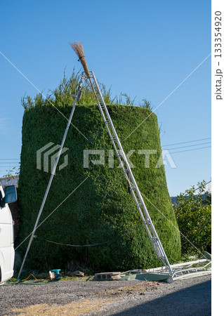 Japanese Gardener Japanese Gardener 133354920