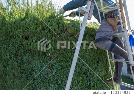 Japanese Gardener 133354925