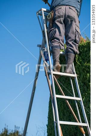 Japanese Gardener Japanese Gardener 133354935