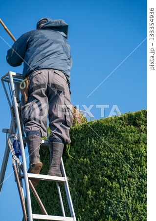 Japanese Gardener Japanese Gardener 133354936