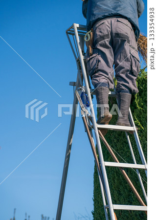 Japanese Gardener 133354938