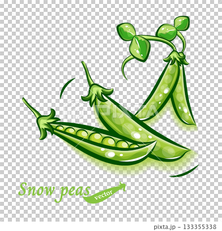 Pop illustration of snow peas (snap peas) | Fresh vegetable vector material 133355338