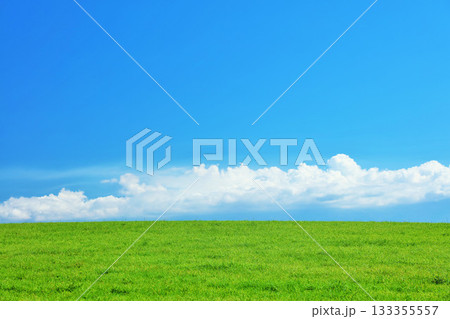 北海道 夏の青空と新緑の草原風景 北海道 夏の青空と新緑の草原風景 133355557