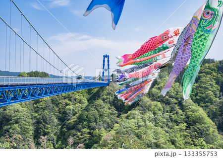 茨城　鯉のぼりと竜神大吊橋 133355753