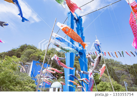 茨城 鯉のぼりと竜神大吊橋 茨城 鯉のぼりと竜神大吊橋 133355754