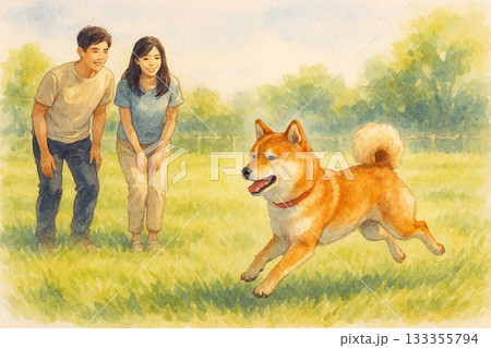 初夏の草原で駆ける柴犬と日本人カップルのアクションシーン 133355794