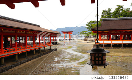 厳島神社 133356483