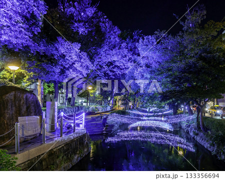西川緑道公園　イルミネーション　西川イルミ　岡山県岡山市 133356694