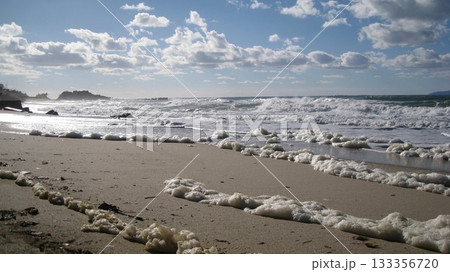 青空の笹川流れの日本海と砂浜に波紋状に打ち上がった波の花 133356720