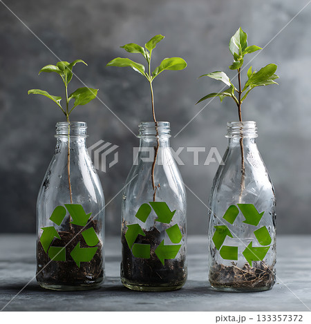 リサイクルガラス瓶で育つ植物とサステナブルな暮らし 133357372