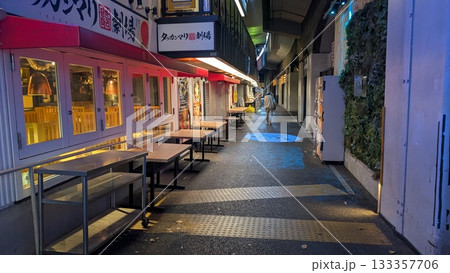 新橋のアーケードと飲み屋街 新橋のアーケードと飲み屋街 133357706