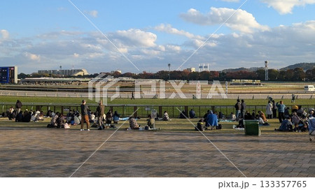 東京競馬場のコースと観戦する人々の風景 133357765
