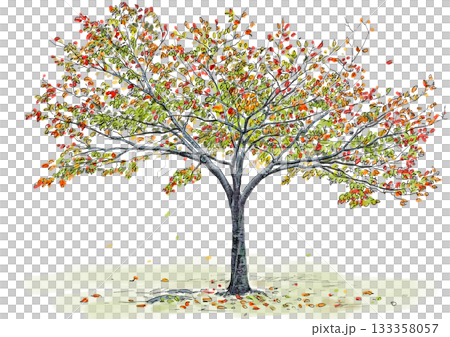 一本の木の線画淡彩イラスト 133358057