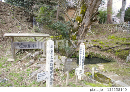 小江神社（おえじんじゃ）の大ケヤキの根元に湧き出る名水「江野岩清水（ごうのいわしみず）」 133358140