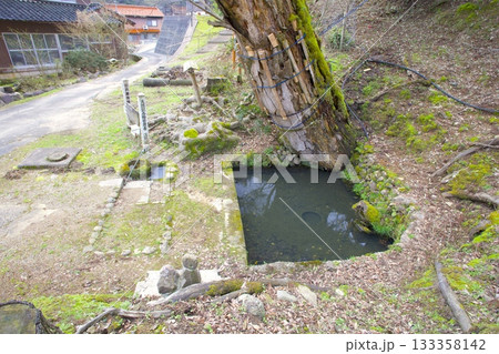 小江神社（おえじんじゃ）の大ケヤキの根元に湧き出る名水「江野岩清水（ごうのいわしみず）」 133358142