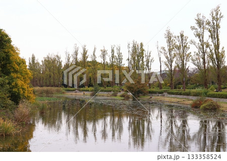 秋の水元公園にて（東京都葛飾区） 133358524