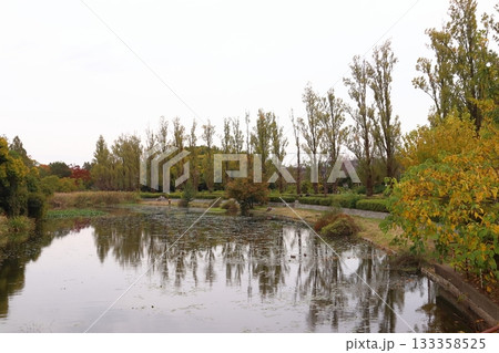 秋の水元公園にて（東京都葛飾区） 133358525