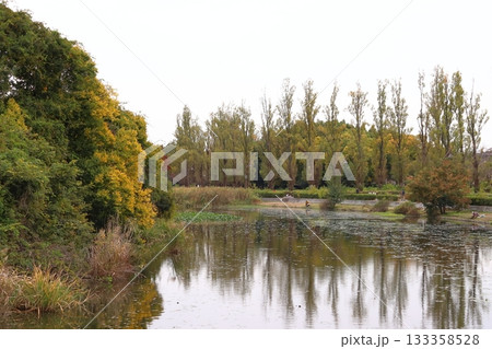 秋の水元公園にて（東京都葛飾区） 133358528