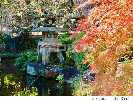 紅葉と灯籠 紅葉と灯籠 133358556