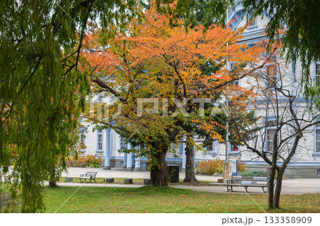 中島公園、紅葉と静寂の湖畔 中島公園、紅葉と静寂の湖畔 133358909