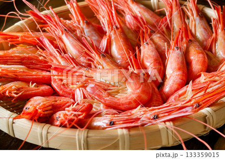 北海シマエビ 北海シマエビ 133359015