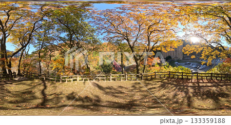 紅葉のある公園宇奈月温泉やまびこ展望台 133359188