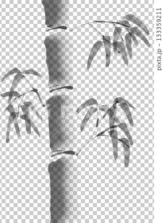 Bamboo ink painting illustration (ink painting, Japanese style, Japanese painting) Bamboo ink painting illustration (ink painting, Japanese style, Japanese painting) 133359211