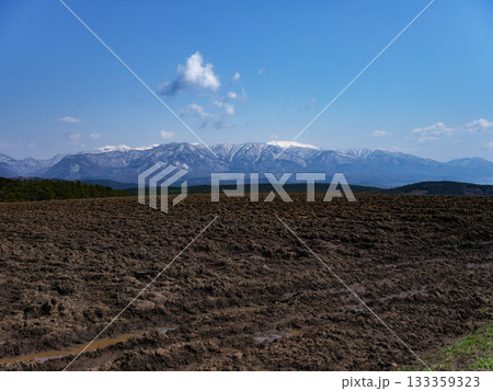 春の白神山地 - 世界自然遺産 133359323