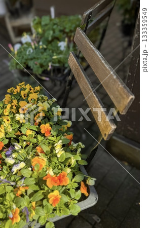 花屋の店頭に飾ってある古びたベンチの上のパンジーの鉢植え 花屋の店頭に飾ってある古びたベンチの上のパンジーの鉢植え 133359549