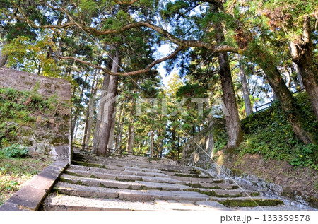 飫肥城 旧本丸跡の石垣 飫肥城 旧本丸跡の石垣 133359578