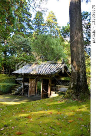 飫肥城 旧本丸跡 飫肥城 旧本丸跡 133359579