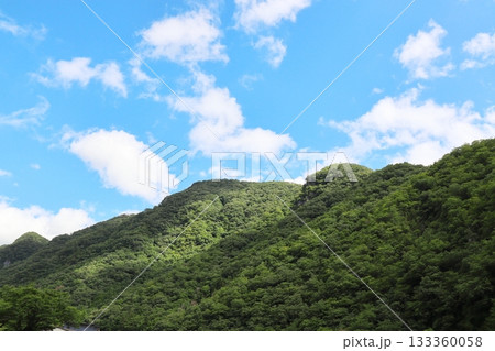 岡山県高梁市川上町　夏の山の風景　 133360058