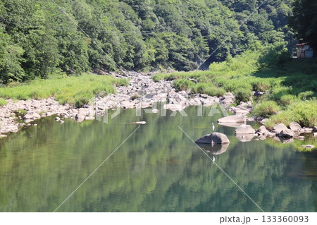 岡山県新見市金谷　河本ダム近くの本郷川 133360093