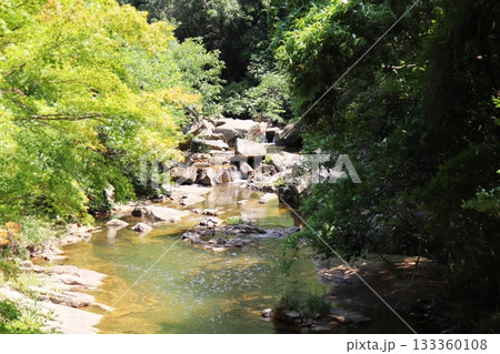 岡山県総社市槙谷　夏の豪渓　国指定名勝地 133360108