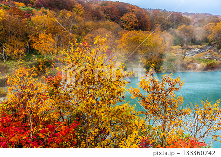 地獄沼の紅葉【青森県青森市】 地獄沼の紅葉【青森県青森市】 133360742