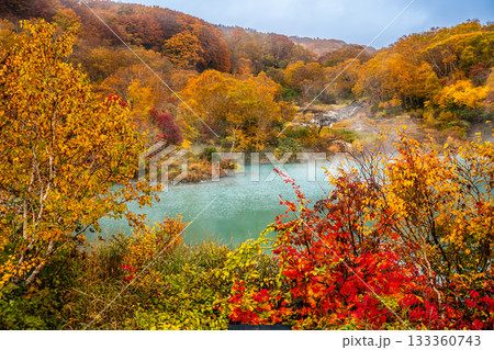 地獄沼の紅葉【青森県青森市】 133360743