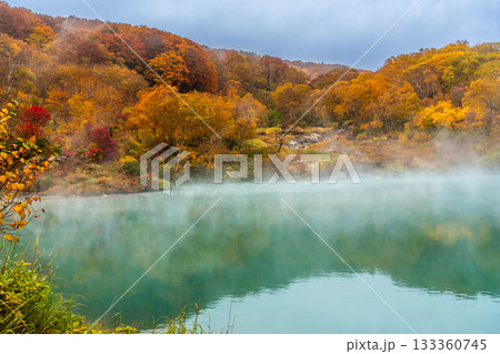 地獄沼の紅葉【青森県青森市】 地獄沼の紅葉【青森県青森市】 133360745